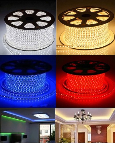 Striscia strip led bobina - striscia,